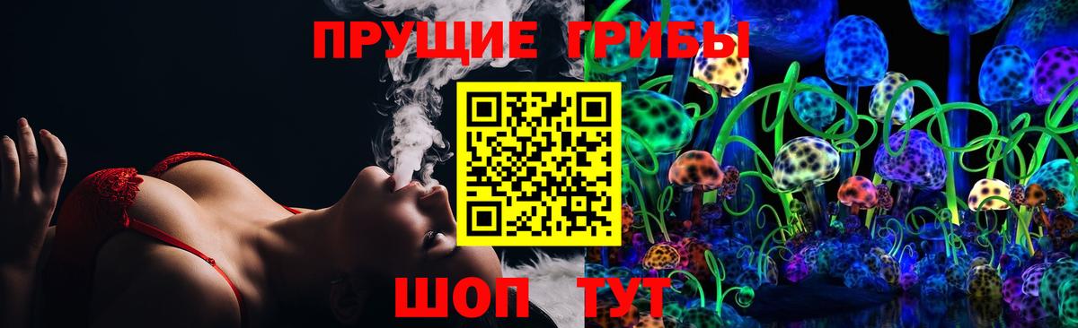 Псилоцибиновые грибы Cubensis Камень-на-Оби